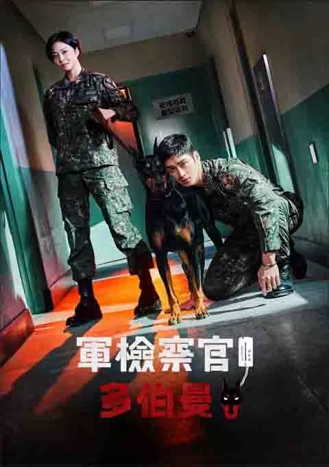 军检察官多伯曼犬